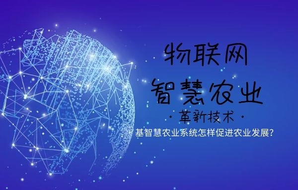 &#20061;&#28216;&#32593;&#39029;&#29256;&#45;&#20061;&#28216;&#65288;&#20013;&#22269;&#65289;