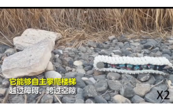&#20061;&#28216;&#32593;&#39029;&#29256;&#45;&#20061;&#28216;&#65288;&#20013;&#22269;&#65289;
